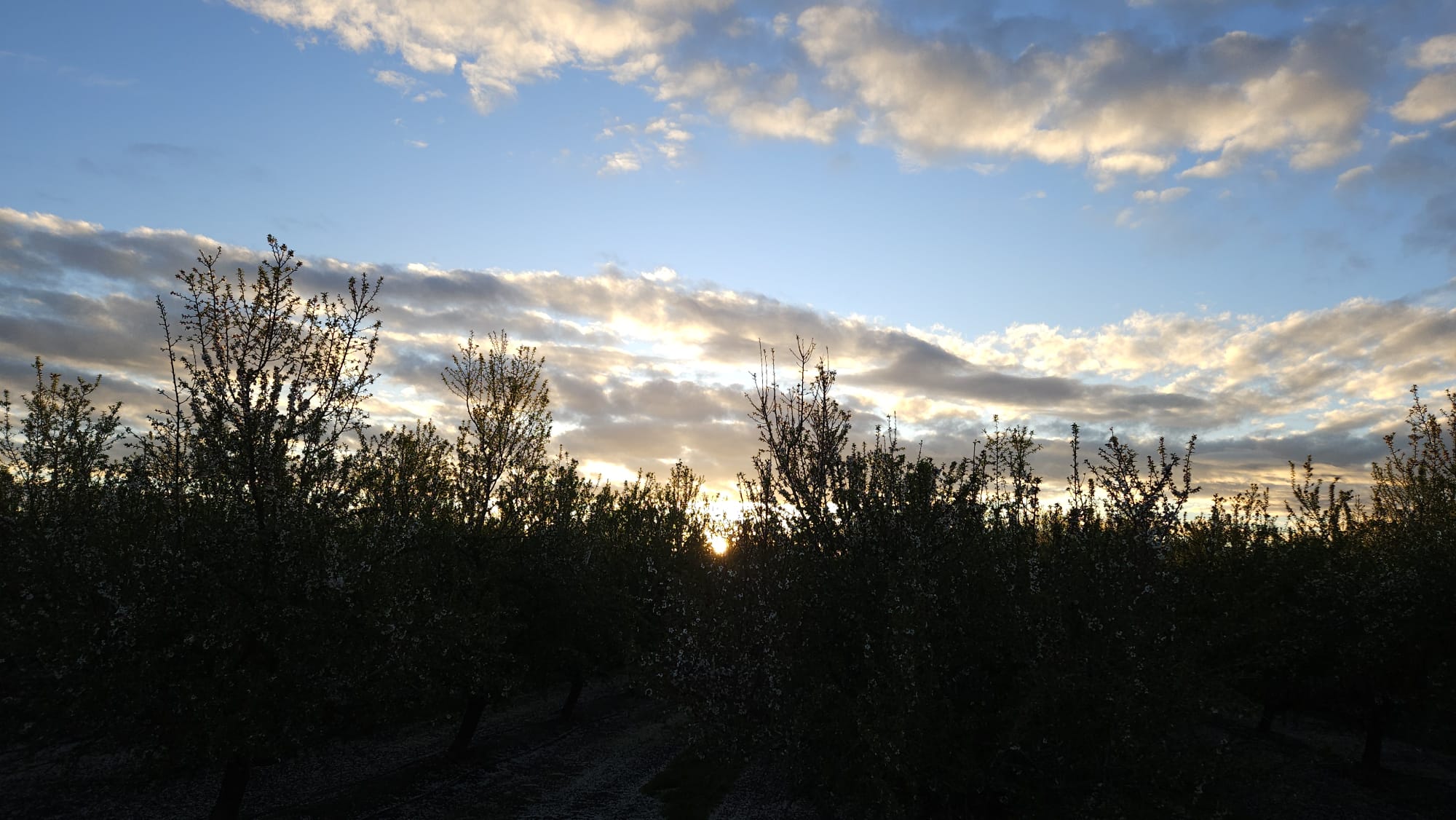 Update Farming | California Farming : ਅਜੋਕੀ ਖੇਤੀਬਾੜੀ ਦੀਆਂ ਸਮੱਸਿਆਵਾਂ ਤੇ ਉਹਨਾਂ ਦੇ ਹੱਲ |