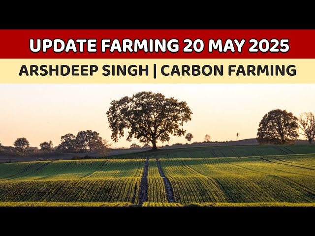 Update Farming 20 May 2025 | Arshdeep Singh | Carbon Farming