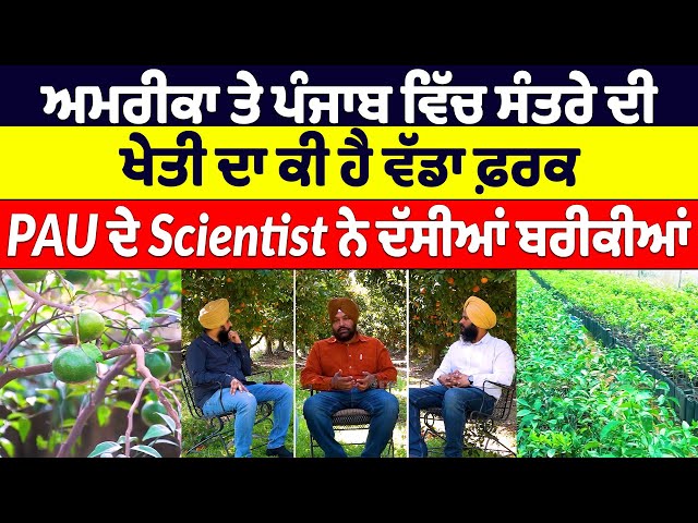 ਅਮਰੀਕਾ ਤੇ ਪੰਜਾਬ ਵਿੱਚ ਸੰਤਰੇ ਦੀ ਖੇਤੀ ਦਾ ਕੀ ਹੈ ਵੱਡਾ ਫ਼ਰਕ, PAU ਦੇ Scientist ਨੇ ਦੱਸੀਆਂ ਬਰੀਕੀਆਂ | FARMIN