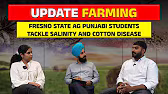 Update Farming | Fresno State Ag Punjabi Students Tackle Salinity and Cotton Disease
