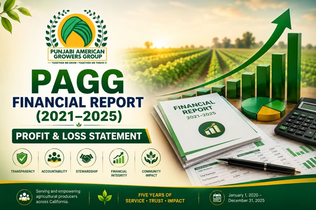 PAGG Financial Report (2021–2025) - Profit & Loss Statement